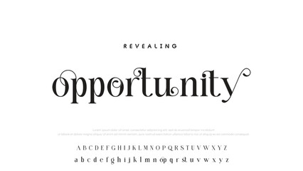 Luxury alphabet letters font and number. Typography elegant wedding classic lettering serif fonts decorative vintage retro concept. vector illustration