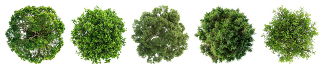Naklejka premium PNG Lush green tree tops, element set on transparent background