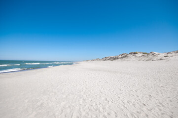 Sand dunes landscape at the Baltic sea