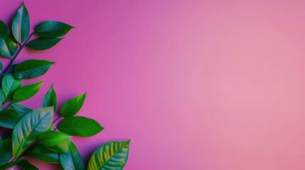 Fototapeta premium Green leaves pop against a soft pink background in decor