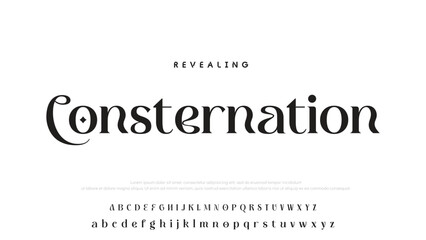 Luxury alphabet letters font and number. Typography elegant wedding classic lettering serif fonts decorative vintage retro concept. vector illustration