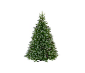 christmas tree isolated on white