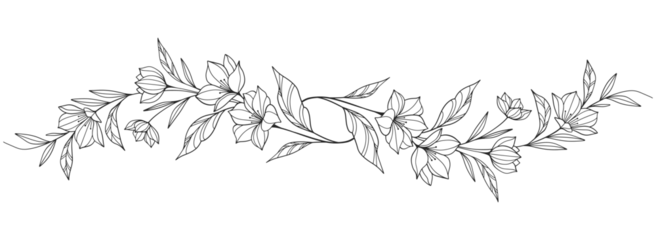 Fotobehang Line art Sketch Floral Botany. flower drawings. Black and white with line art on white backgrounds. Hand Drawn Botanical Illustrations.Vector. © sense