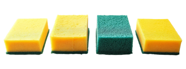 A row of three sponges