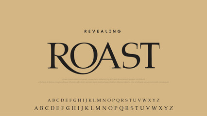 Minimal luxury font alphabet logo. Typography beauty fashion elegant minimalist serif italic fonts decorative wedding vintage retro logos. vector illustration