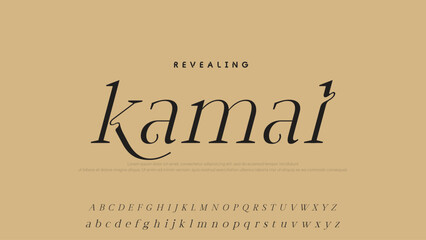 Minimal luxury font alphabet logo. Typography beauty fashion elegant minimalist serif italic fonts decorative wedding vintage retro logos. vector illustration