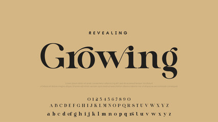 Beauty Luxury font alphabet logo. Typography beautiful fashion elegant classic letters serif italic fonts decorative wedding vintage font. vector illustration.