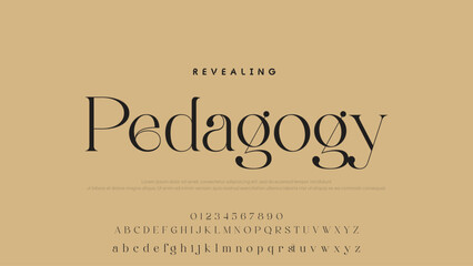 Beauty Luxury font alphabet logo. Typography beautiful fashion elegant classic letters serif italic fonts decorative wedding vintage font. vector illustration.