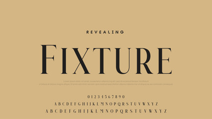 Beauty Luxury font alphabet logo. Typography beautiful fashion elegant classic letters serif italic fonts decorative wedding vintage font. vector illustration.
