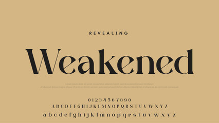 Beauty Luxury font alphabet logo. Typography beautiful fashion elegant classic letters serif italic fonts decorative wedding vintage font. vector illustration.