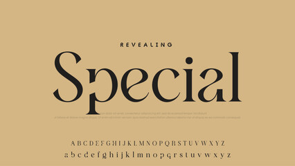Beauty Luxury font alphabet logo. Typography beautiful fashion elegant classic letters serif italic fonts decorative wedding vintage font. vector illustration.
