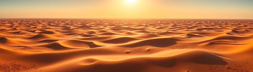 Desert Dunes at Noon