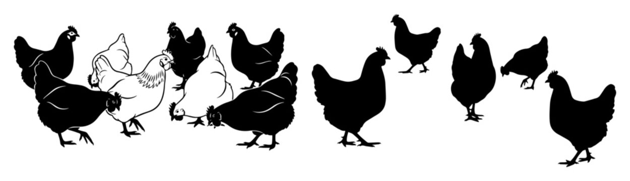 hen and chicken flock silhouette set