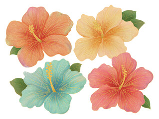 Colorful pastel hibiscus flowers with green leaves, soft texture, and delicate golden details creating vibrant and elegant floral arrangement