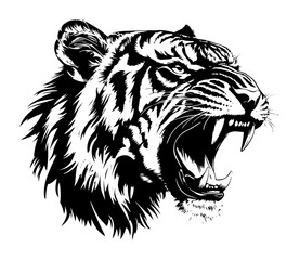 roaring tiger head black and white illustration
