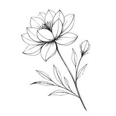 Fototapeta premium vector illustration of a flower