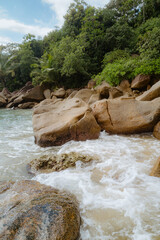 mountain river in the forest