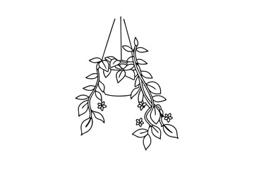 Simple line drawing of a hanging plant with leaves and small blooming flowers
