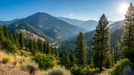 Fototapeta premium Rainy Night in a Cyberpunk City: A Solitary Figure Walks