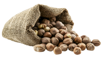 A bag of nuts is spread out on a white background. The nuts are scattered all over the bag, with some of them falling out of the bag. Concept of abundance and variety