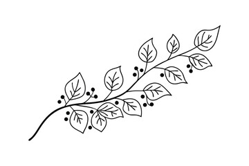 Obraz premium Elegant black and white botanical illustration featuring leaves and berries design