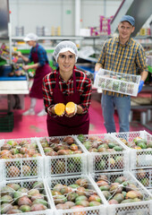 Cheerful young Hispanic workwoman standing near stack of boxes with selected mangoes at fruit sorting factory, showing sliced ripe juicy mango