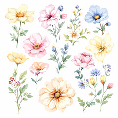 Wild flowers set, watercolor digital illustration.