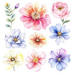 Flowers and leaves digital illustration, spring design, watercolor hand painting. Perfectly for printing, sublimation.