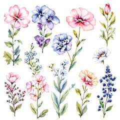 Obraz premium Flowers and leaves digital illustration, spring design, watercolor hand painting. Perfectly for printing, sublimation.