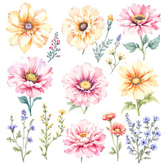 Flowers and leaves set, floral watercolor illustration for greeting card, invitation and other printing design. Isolated on white. Hand drawing.