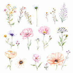Big floral illustrations set with watercolor hand drawn flowers. Stock clip art.
