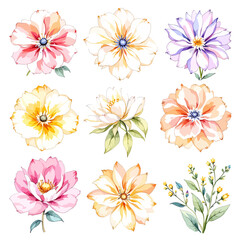 Big floral illustrations set with watercolor hand drawn flowers. Stock clip art.