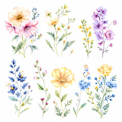 Set of watercolor flowers on white background
