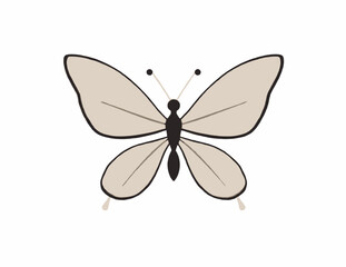Minimalist illustration of a butterfly with beige wings and simple lines