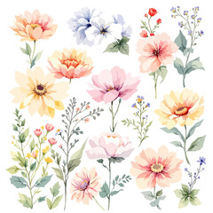 Watercolor painted floral clipart set