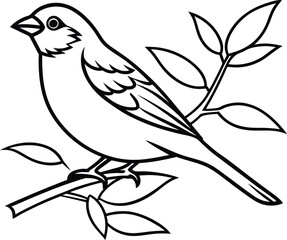 Brid line art in white background