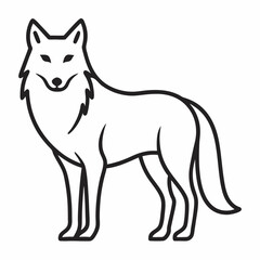 wolf on white background 