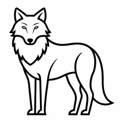 wolf on white background 