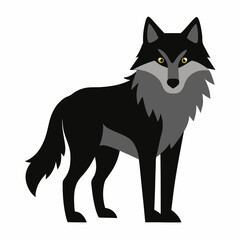 wolf on white background 