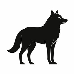 wolf on white background 