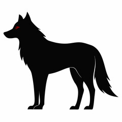 wolf on white background 
