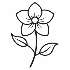 wood anemone flower on white background 