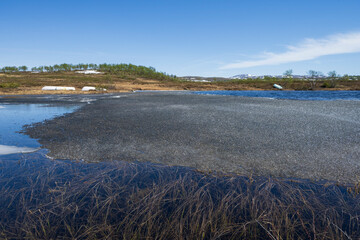 Spring at Rensjøen, Ålen, Trøndelag, Norway