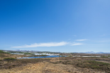 Spring at Rensjøen, Ålen, Trøndelag, Norway