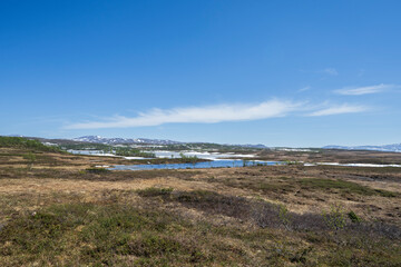 Spring at Rensjøen, Ålen, Trøndelag, Norway