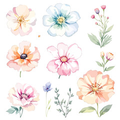 Set of watercolor flowers on white background, Clipart watercolor flowers
