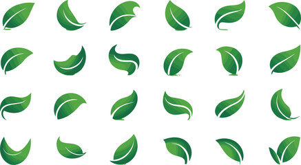 Set of Green Leaf Icons in Various Styles, Vector Illustration