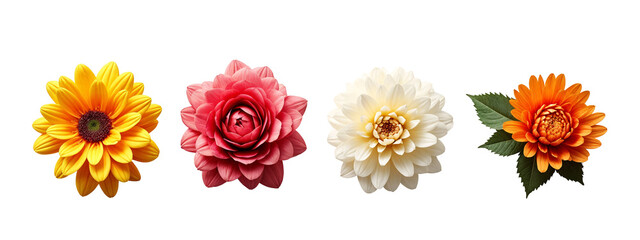 A group of three different colored flowers