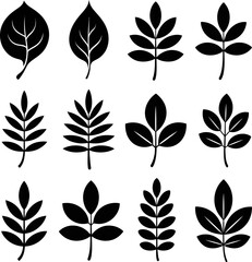 Twelve black botanical leaf illustrations in a grid on a white background