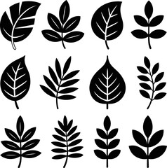Collection of twelve different black and white leaf vector illustrations